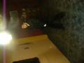 videos de Piece of me ft  fox .mpg