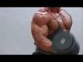 Voros-Zoltan-Bodybui