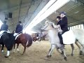 Dressurquadrille