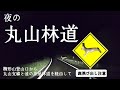【シカに遭遇】丸山林道　〜櫛形山登山口から平林へ下る〜