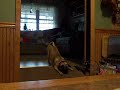 Carly playing