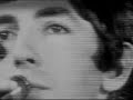 Bedazzled - Drimble Wedge & The Vegetations