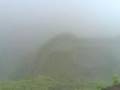 coloubus group at lohgad