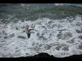 Some of my favorite pictures from Sutro baths in San Francisco