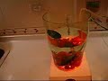 return-of-the-ozone-layer-section-4-of-7.html