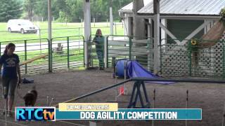 Fulton County Fair Dog Agility Competition