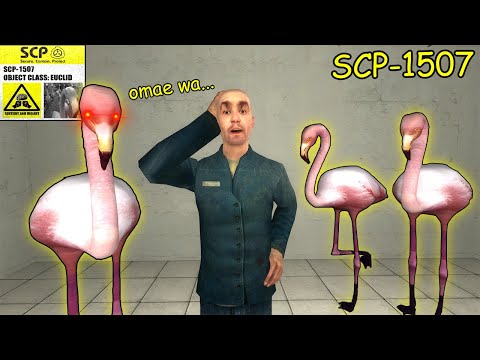 Never Touch SCP-1507