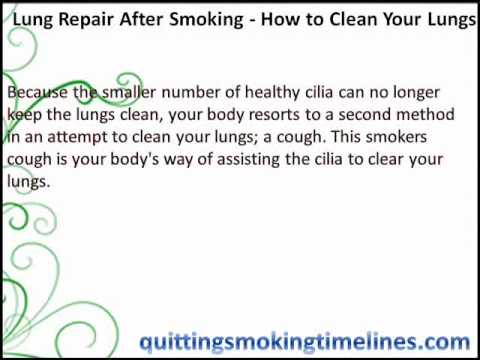 how to repair your lungs
