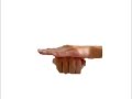 How to do Naruto's hand sign