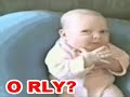 O RLY?