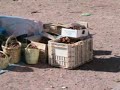 Ouarzazate Vegetable Market Ouarzazate Vegetable Market