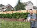 Backyard Halo