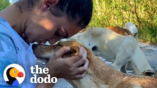 Two Girls Found a Dog Who Was Nursing Puppies – So They Kept Coming Back Every Day | The Dodo Hero by The Dodo