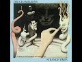 The Chameleons - Swamp Thing