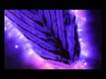 Kirlian - Aurora floralis I