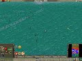 Empire Earth D day Battle  Lol? :|