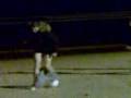 videos de Carrera de pingüinos