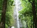 Manoa Falls