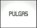 Pulgas-MTV Buenisimo 7 Cortitos de las Pulgas