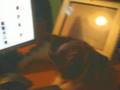 Kitty Seeing xSJPx Videos