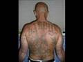 CONEJO'MURDER FOR HIM'