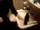 Bath Time For Godot screen 1