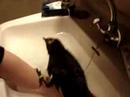 Bath Time For Godot screen 3