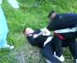 DAZA ROBSON VZ DAMO LEE