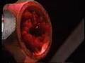 A-Z of Horror Grand Guignol  Truegore Vintage DVD