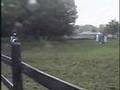 videos de Bentley--Fancy 3 yr. old Gelding by Sempatico--For Sale