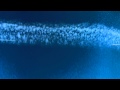 BEST CHEMTRAIL evidence? Video Response| OutbackAL (slo-mo edit by ChemtrailCrimes)