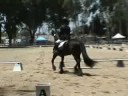 pedro training level test #2 72008