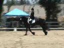 pedro training level test #2 72008