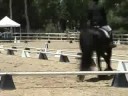 pedro training level test #2 72008