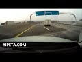 Acidente brutal - car crash accident