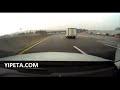 Acidente brutal - car crash accident