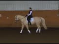 Dressage Training With Sheri