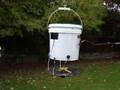 Krenzer the K Man bird feeder documentary bird brain