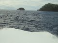 Back to the Sea HUnter