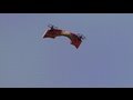 Morphing Aircraft!  Air Hogs SWITCHBLADE product review.