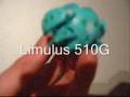 My First Bakugan