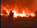 The Willow Fire: Wildfire Destroys Homes