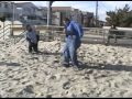 BWA Botchamania 3