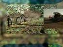 Sala3-Agricultura-ES.mp4