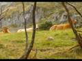 videos de Lago del valle Somiedo