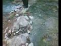 Travesía por el bosque, parte 2 Travesía por el bosque, parte 2