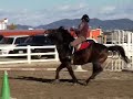 馬術競技スラロームリレー③