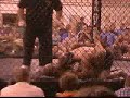 MMA fight MMA fight