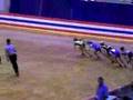 Indoor nationals Sophomore ladies Novice