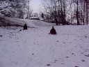 Sledding In Duncan Woods